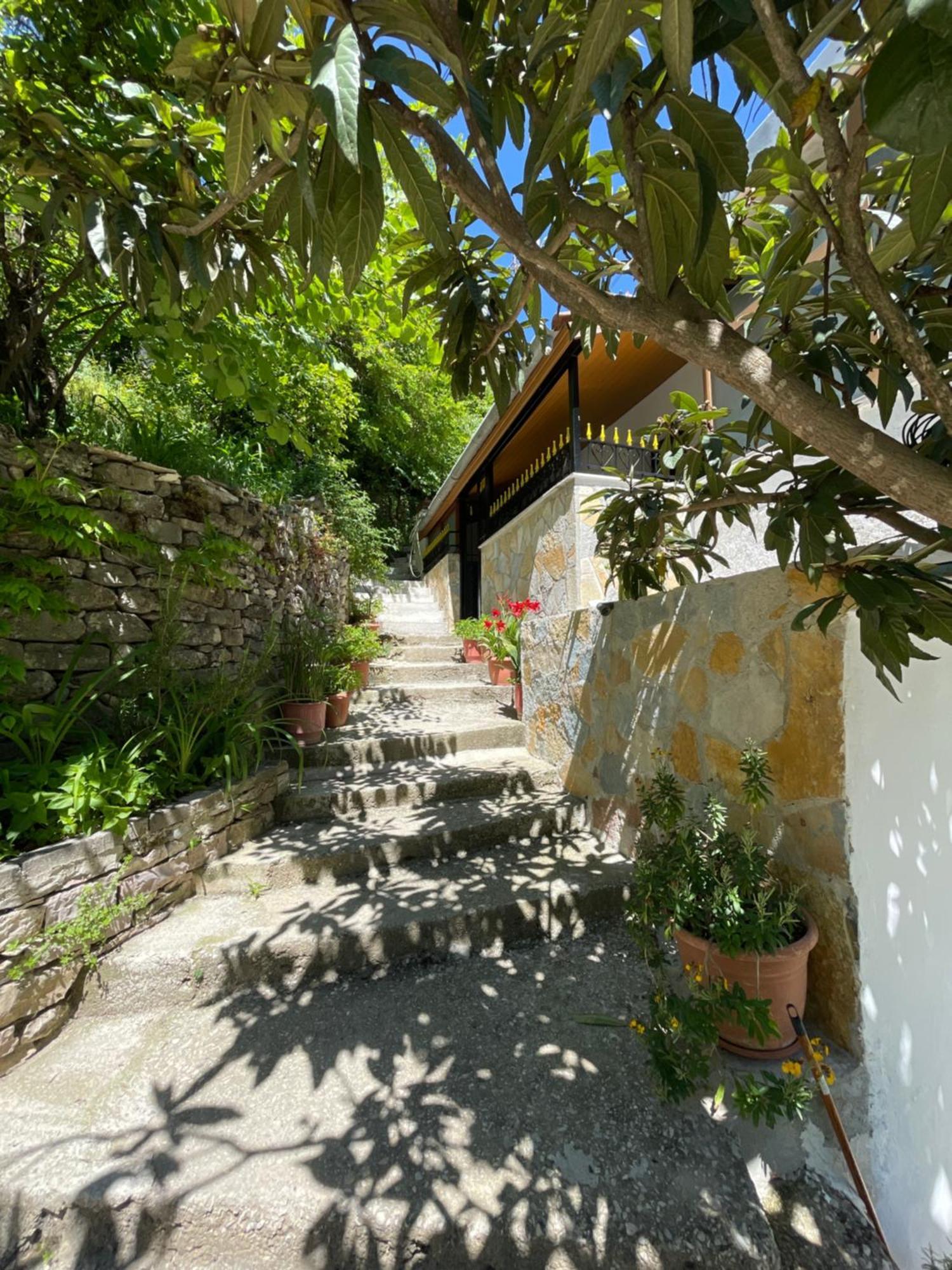 Latifi Guesthouse Gjirokastër 外观 照片